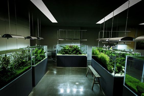 Diện tích và ngân sách quyết định lớn đến mẫu thiết kế