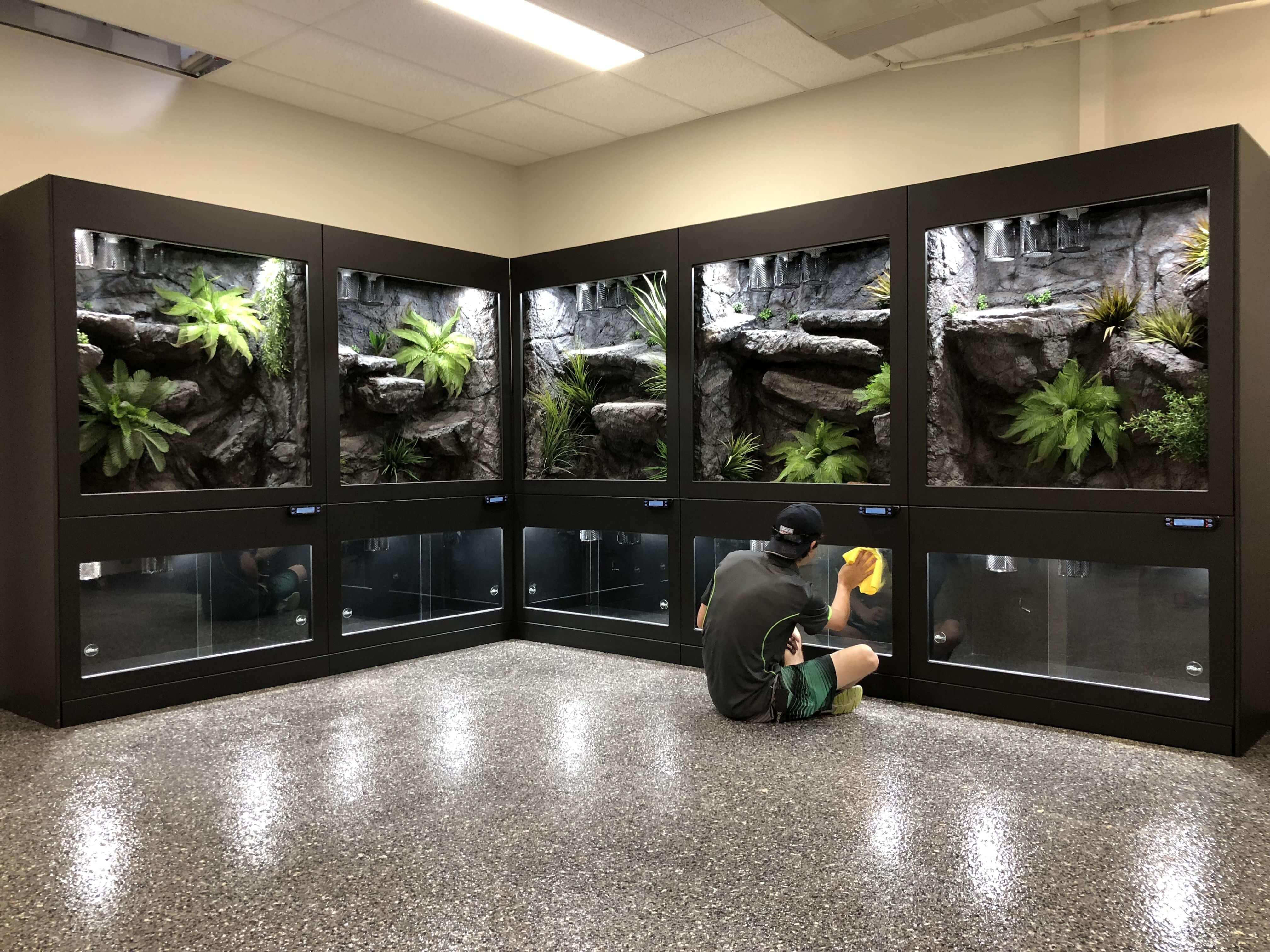 Thiết kế cửa hàng cá cảnh lợi ích đáng để đầu tư