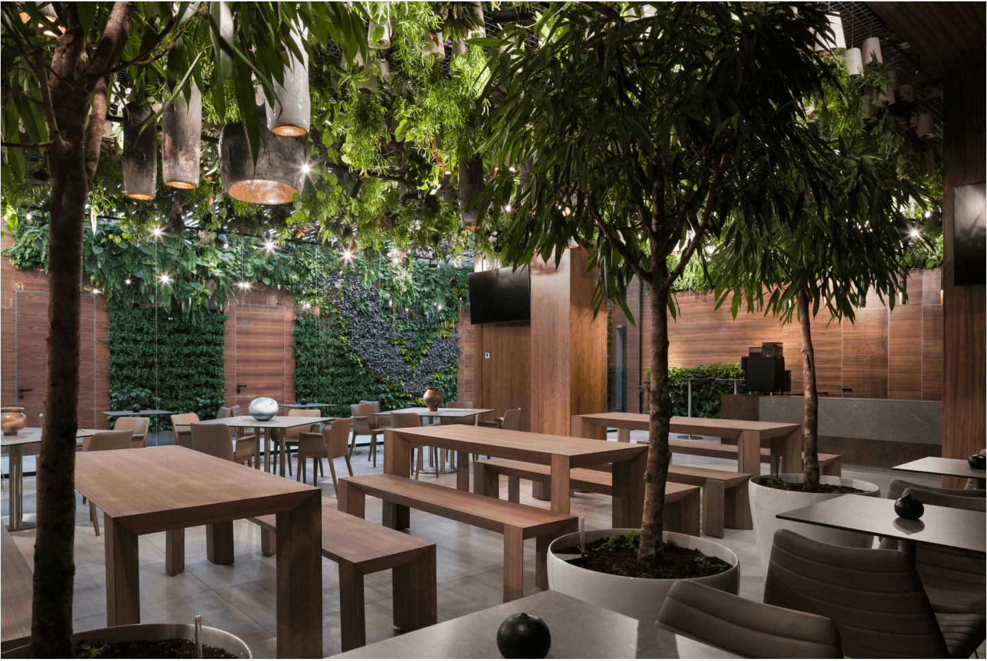 Thiết kế văn phòng đại diện không gian xanh