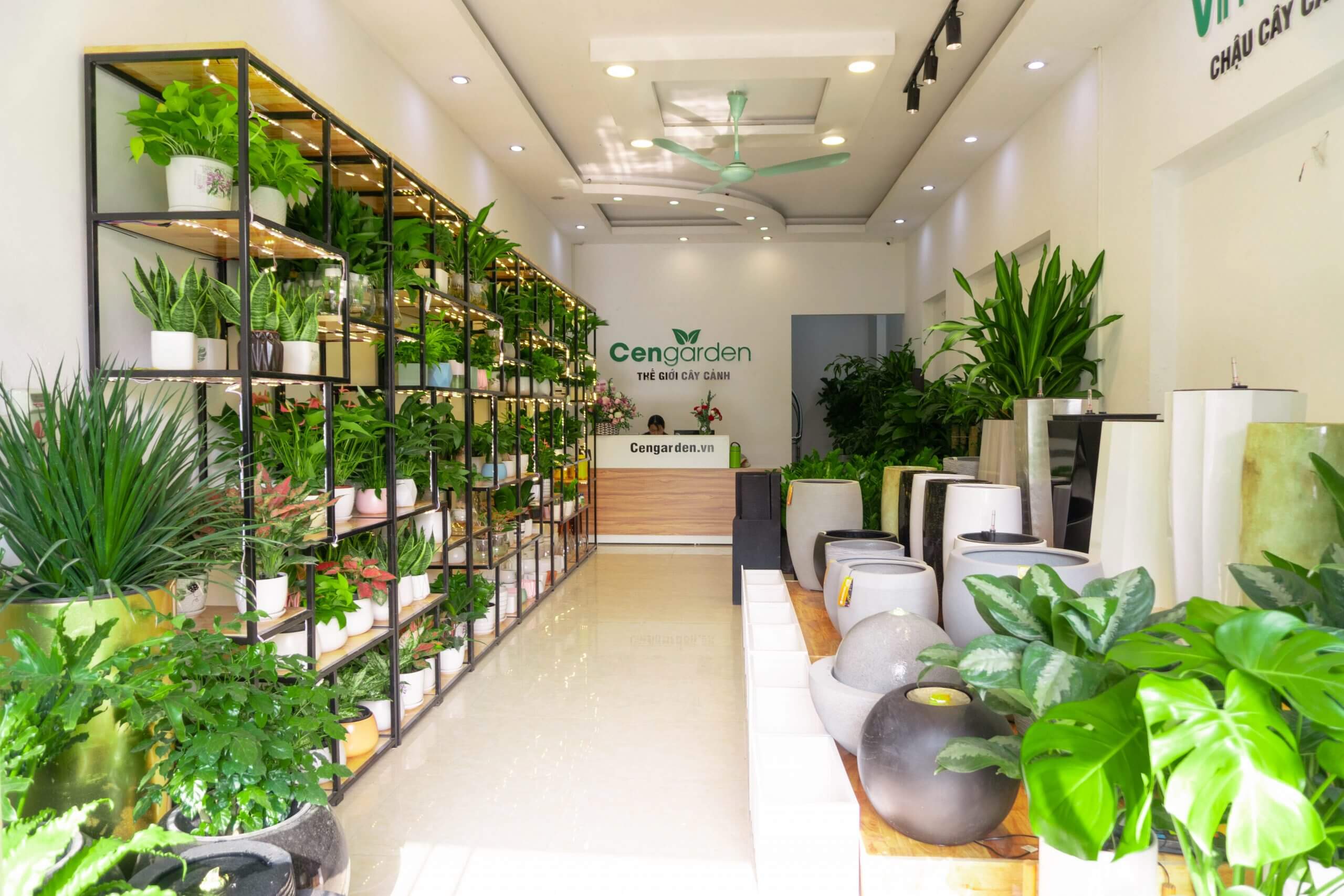 Lợi ích từ thiết kế cửa hàng cây cảnh chuyên nghiệp