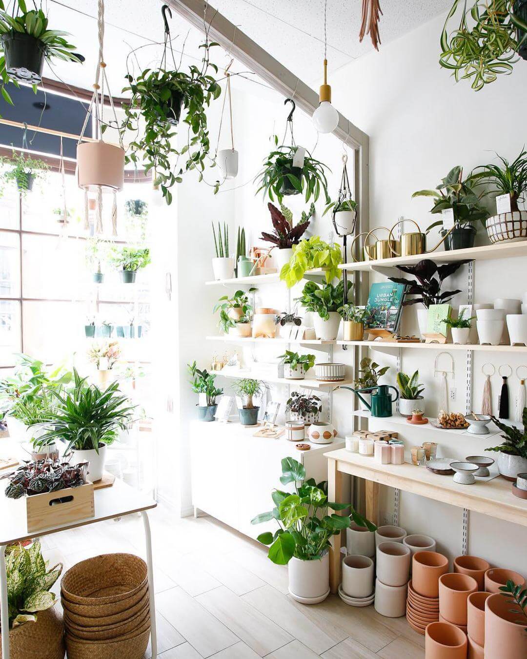mẫu thiết kế cửa hàng cây cảnh chuyên nghiệp, hiện đại, thẩm mỹ không thể bỏ qua