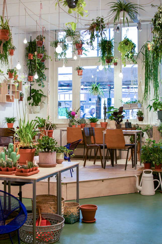 mẫu thiết kế cửa hàng cây cảnh chuyên nghiệp, hiện đại, thẩm mỹ không thể bỏ qua