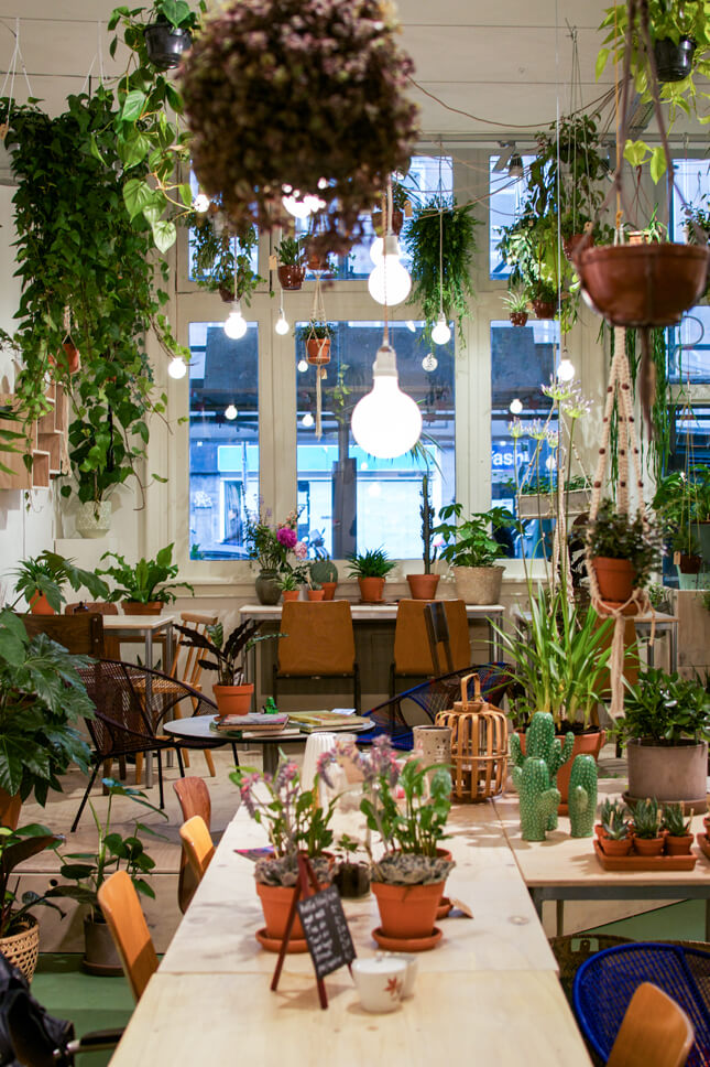 mẫu thiết kế cửa hàng cây cảnh chuyên nghiệp, hiện đại, thẩm mỹ không thể bỏ qua