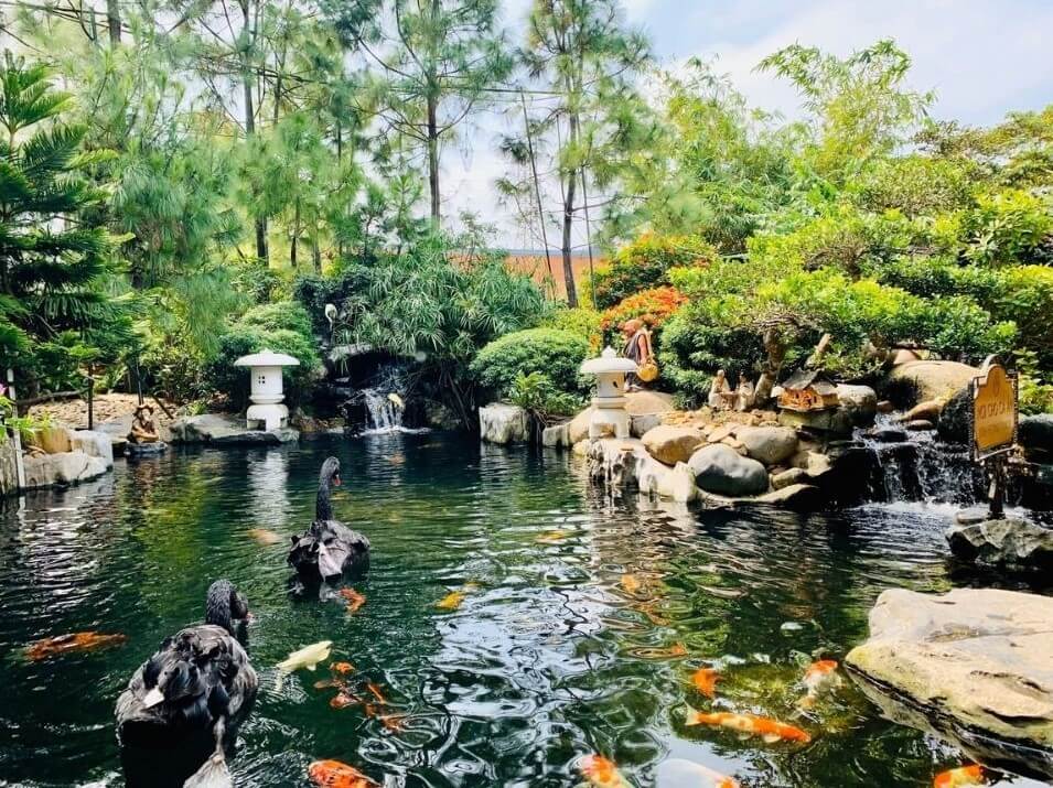 báo giá thiết kế quán cafe Pendecor